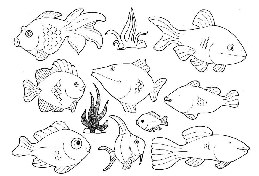 Cool Sea Animal 19 Coloring Page