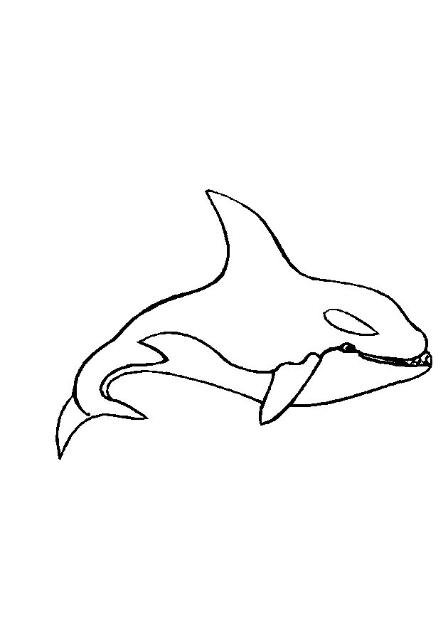 Sea Animal 20 Cool Coloring Page