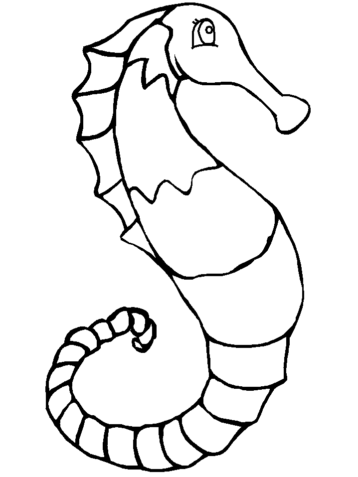 Sea Animal 24 Cool Coloring Page