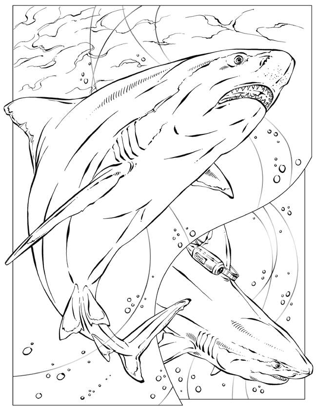 Sea Animal 29 For Kids Coloring Page