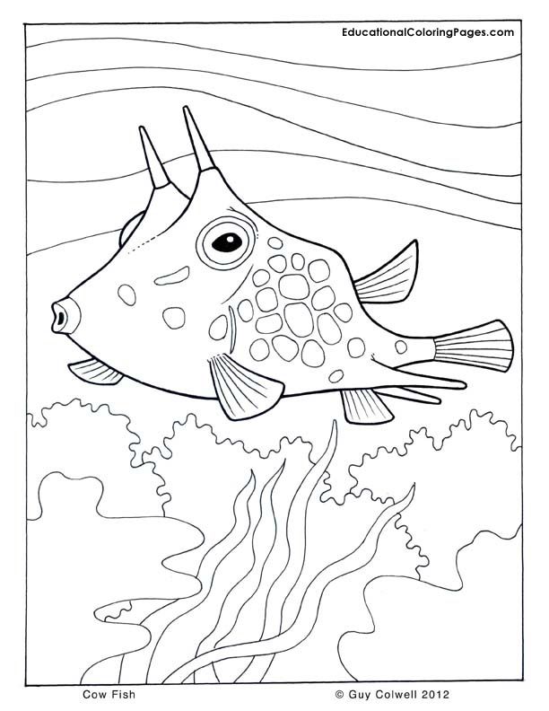 Cool Sea Animal 31 Coloring Page