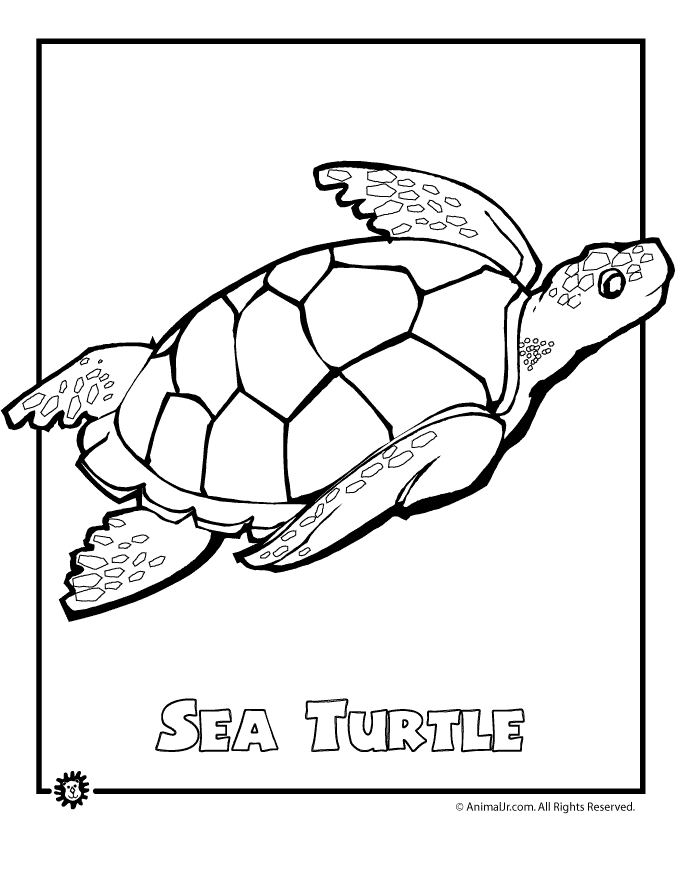Sea Animal 32 Cool Coloring Page