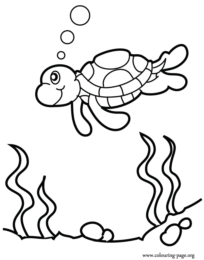 Sea Animal 34 Cool Coloring Page