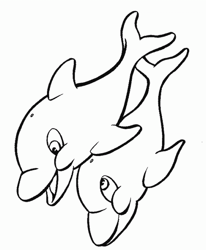 Sea Animal 4 Cool Coloring Page