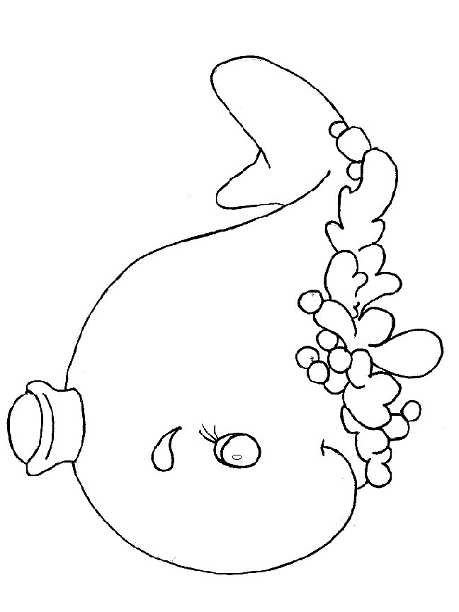 Sea Animal 5 For Kids Coloring Page