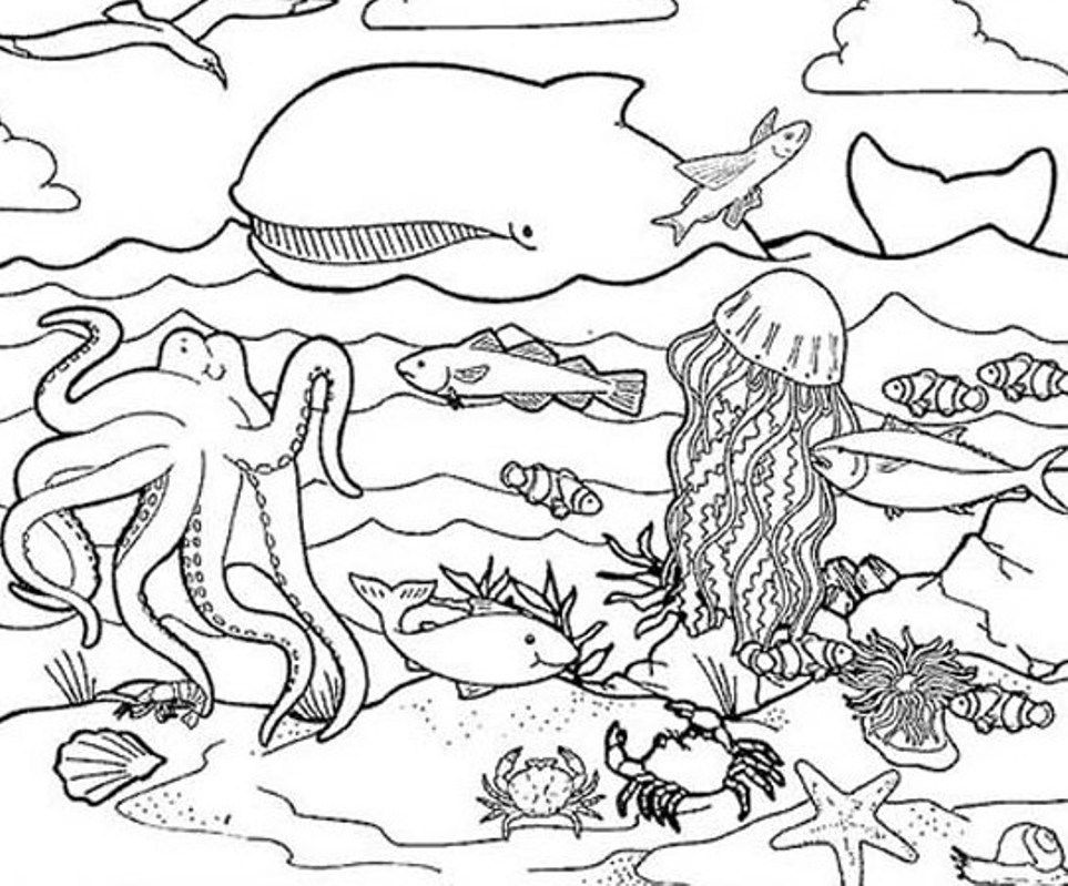 Cool Sea Animal 7 Coloring Page
