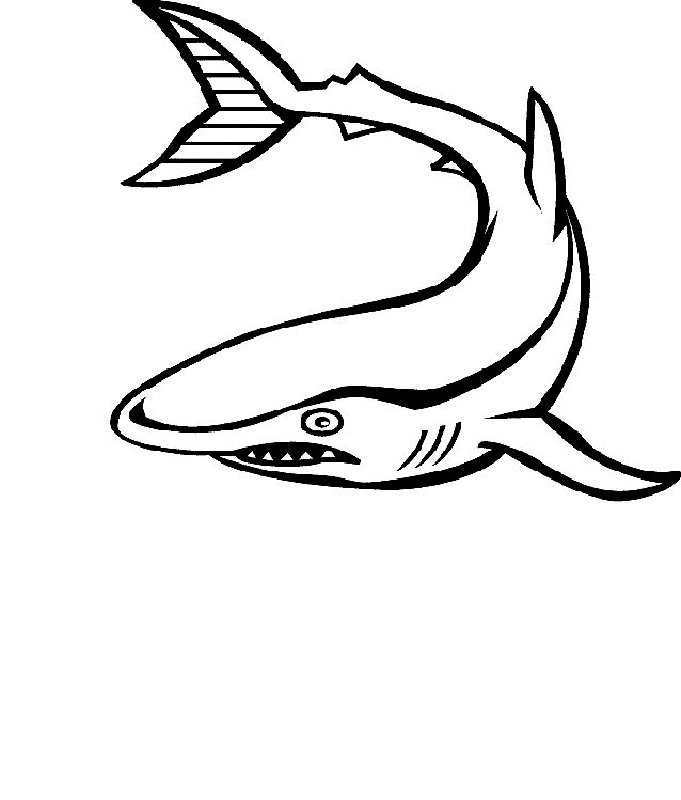 Sea Animal 8 Cool Coloring Page