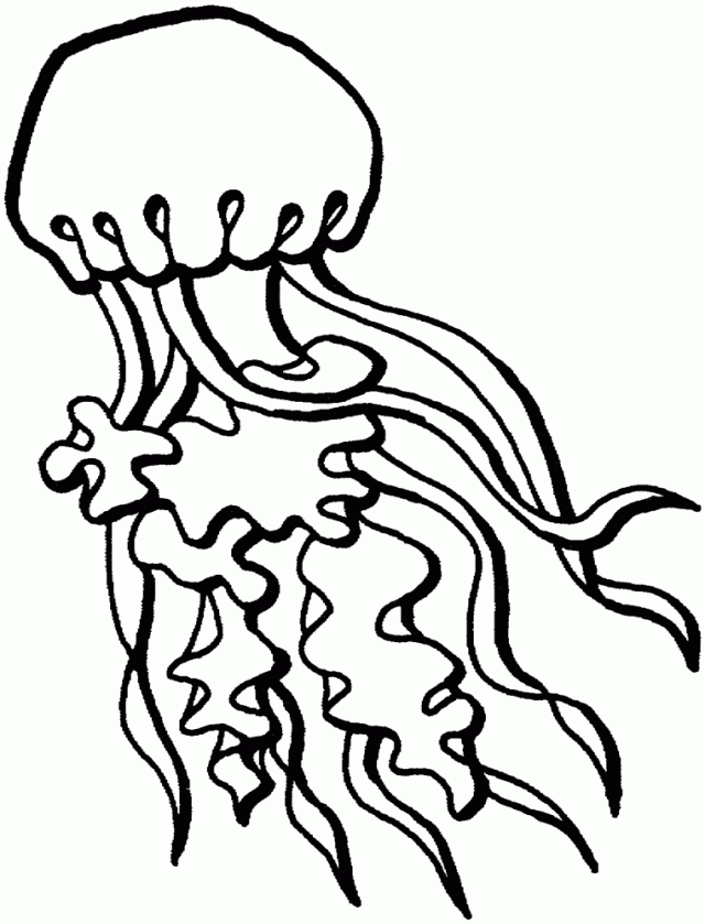 Sea Life 13 Cool Coloring Page