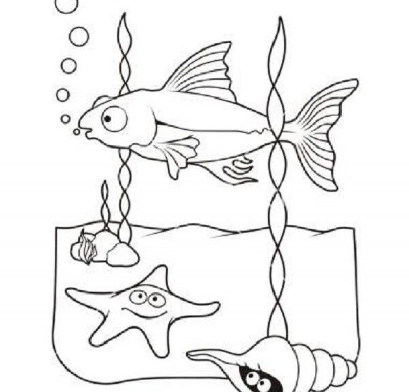 Sea Life 16 For Kids Coloring Page