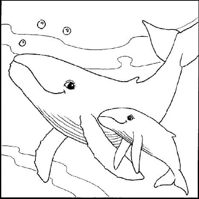 Cool Sea Life 18 Coloring Page