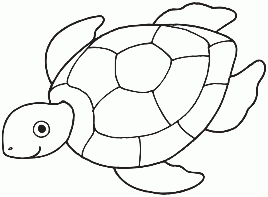 Sea Life 21 Cool Coloring Page