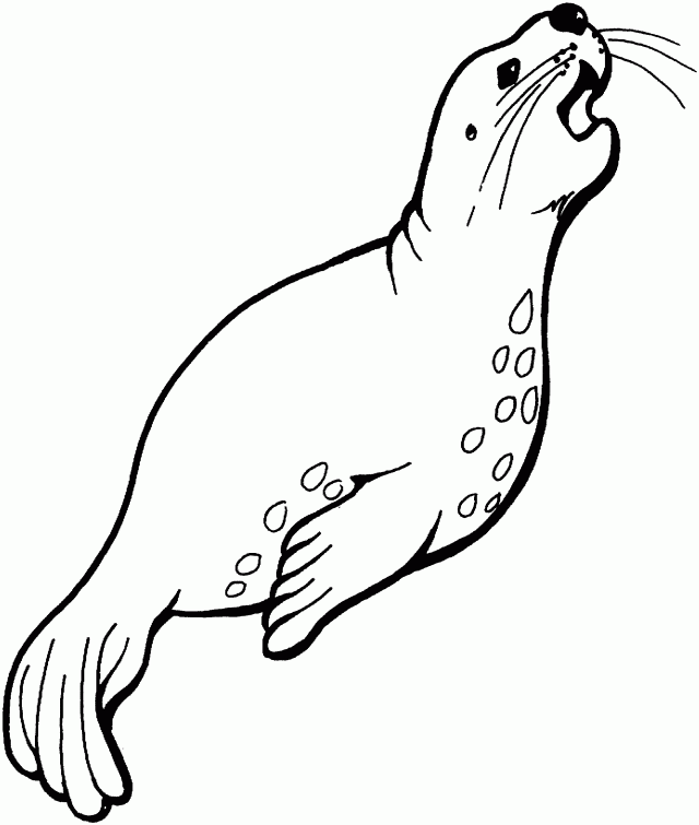 Sea Life 23 Cool Coloring Page