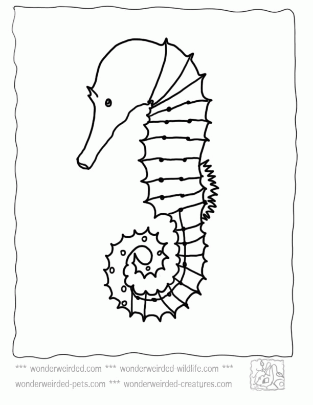 Sea Life 24 For Kids Coloring Page