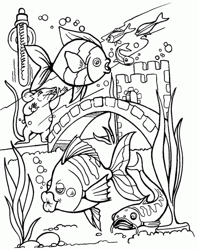 Sea Life 25 Cool Coloring Page