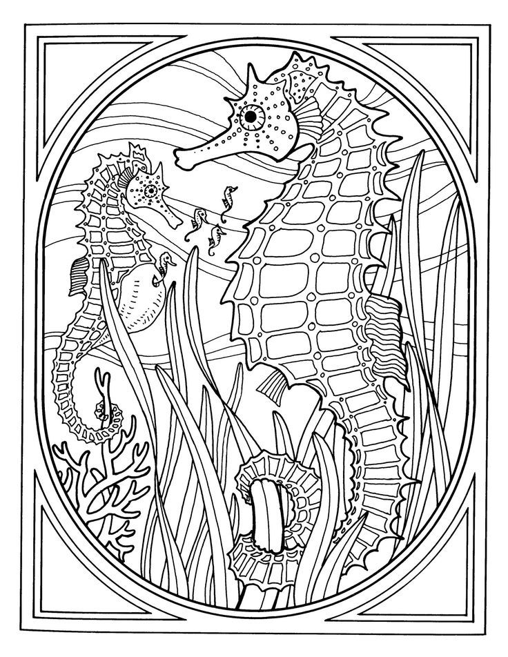 Cool Sea Life 26 Coloring Page