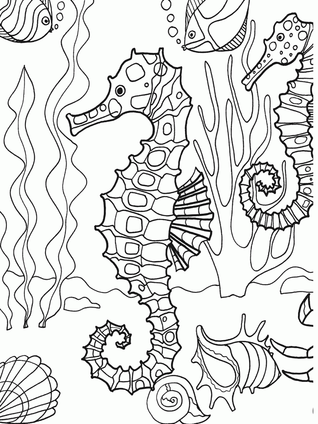Sea Life 29 Cool Coloring Page