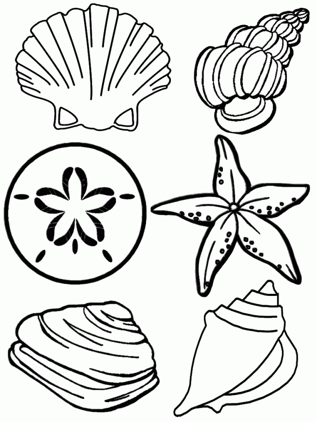 Cool Sea Life 6 Coloring Page
