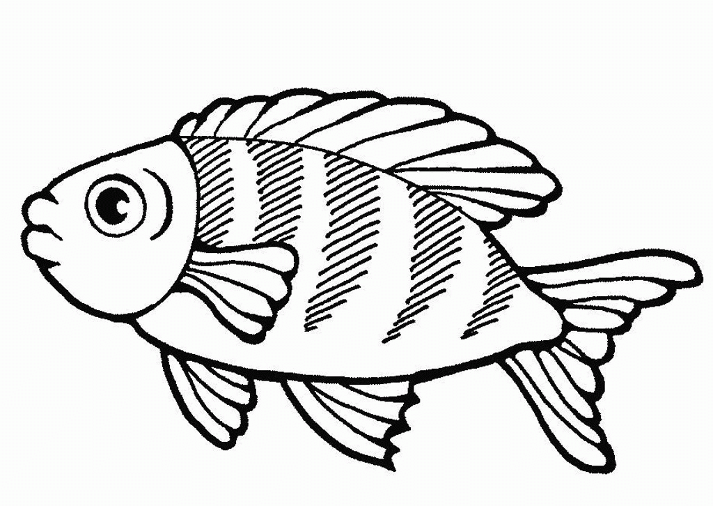 Sea Life 8 For Kids Coloring Page