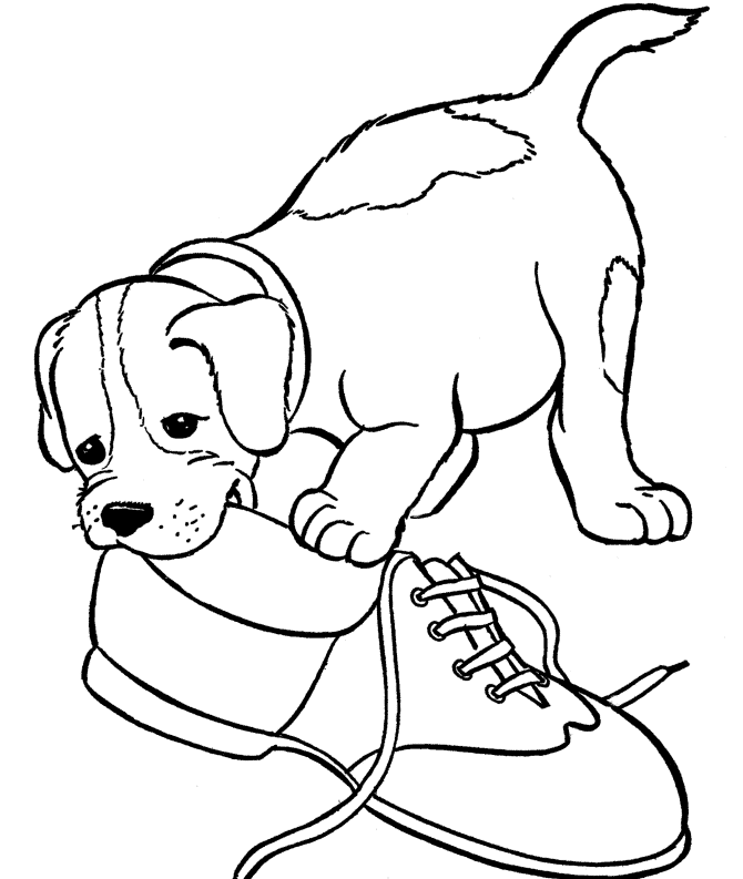 Pet Plays With Shoes Cool Coloring Page