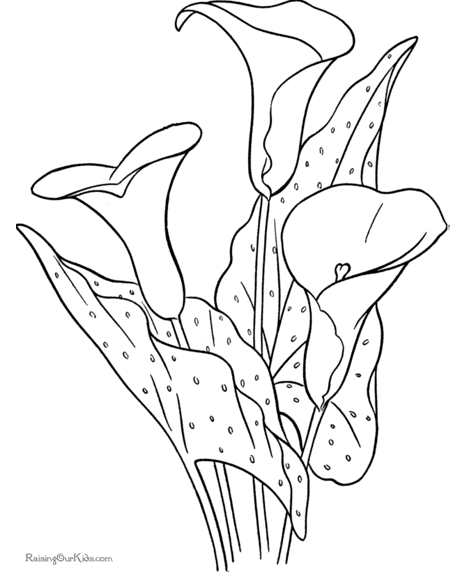 Cool Simple Flower 13 Coloring Page