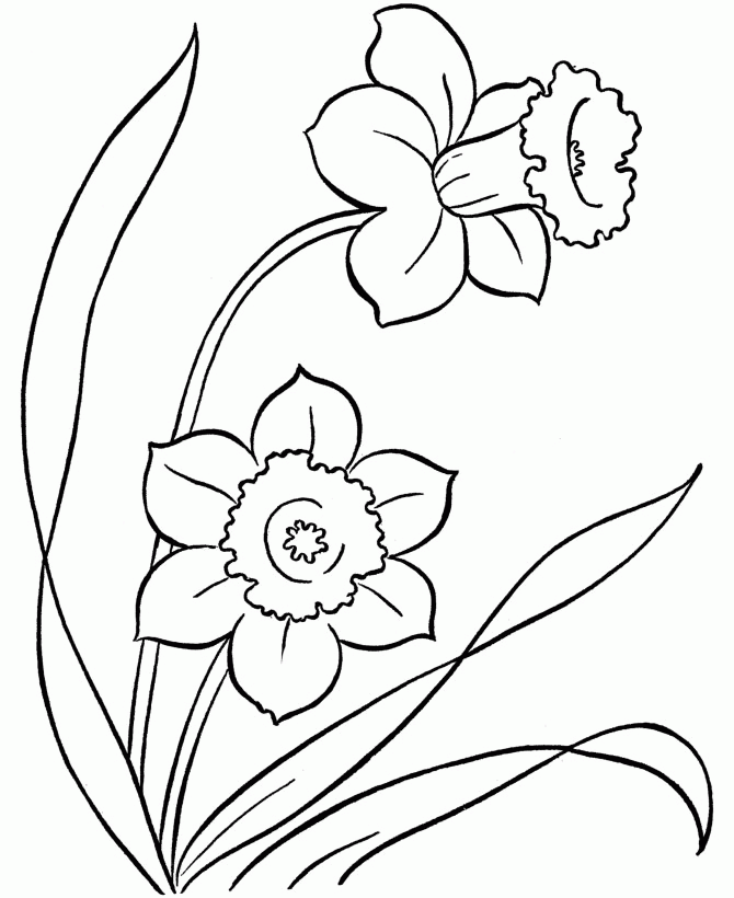 Simple Flower 14 Cool Coloring Page