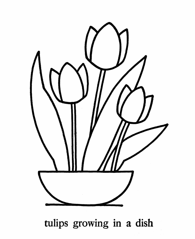 Simple Flower 2 Cool Coloring Page