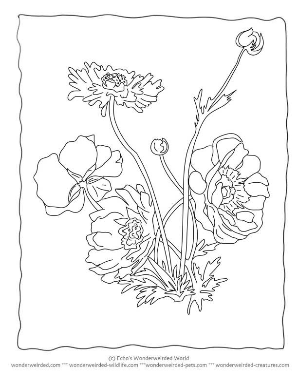 Simple Flower 28 Cool Coloring Page