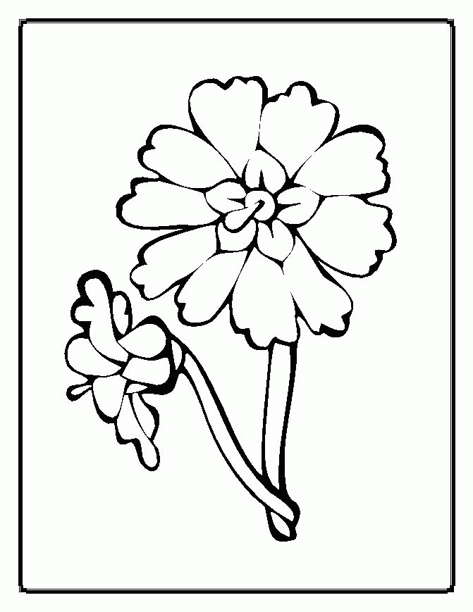 Cool Simple Flower 29 Coloring Page