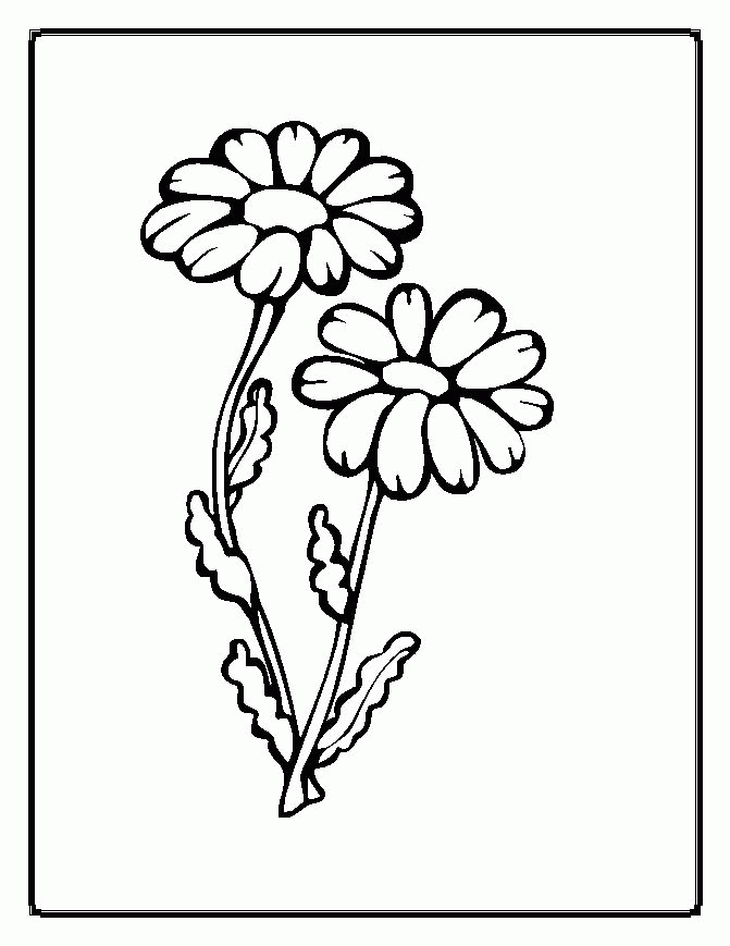 Simple Flower 30 Cool Coloring Page