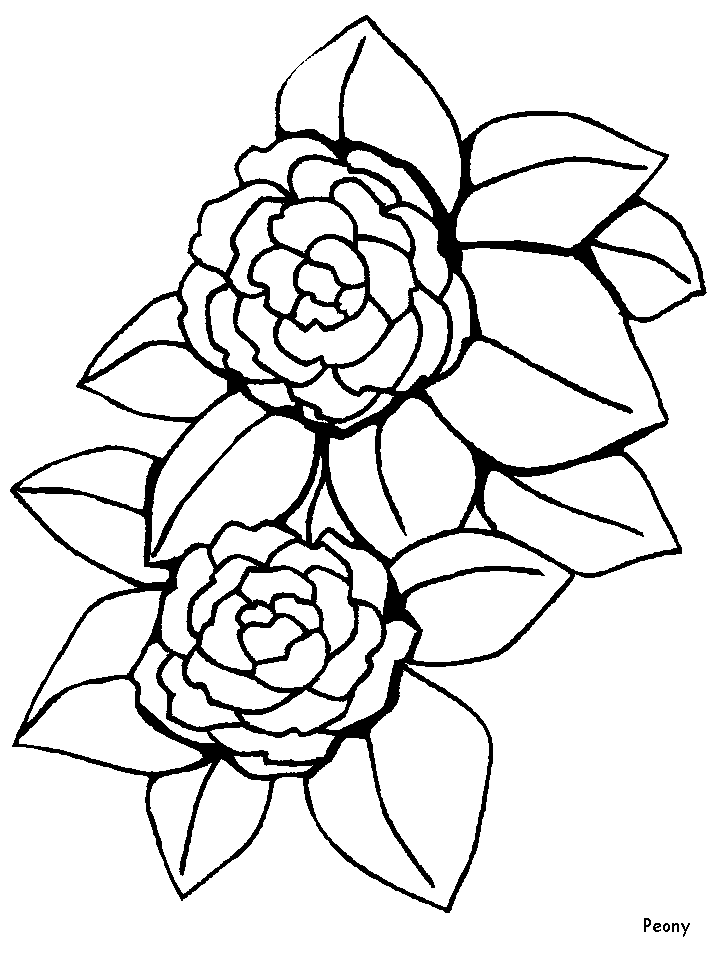 Simple Flower 31 For Kids Coloring Page