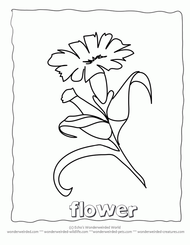 Cool Simple Flower 33 Coloring Page