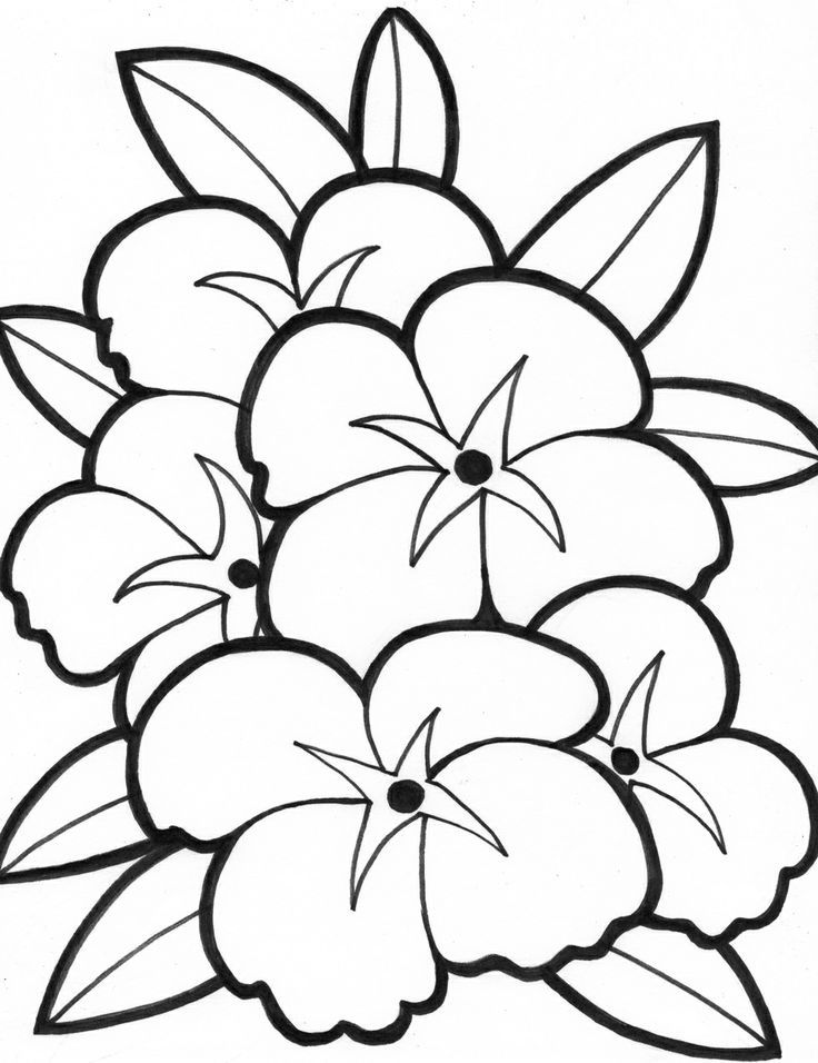 Simple Flower 35 For Kids Coloring Page