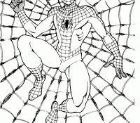 Spiderman 10 Cool