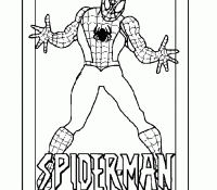 Spiderman 2 Cool
