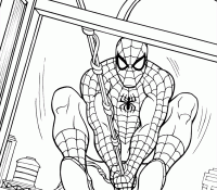 Spiderman 24 Cool