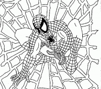 Spiderman 36 Cool