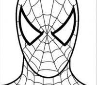 Spiderman 6 Cool