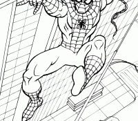 Spiderman 8 Cool
