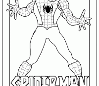 Spiderman 9 For Kids