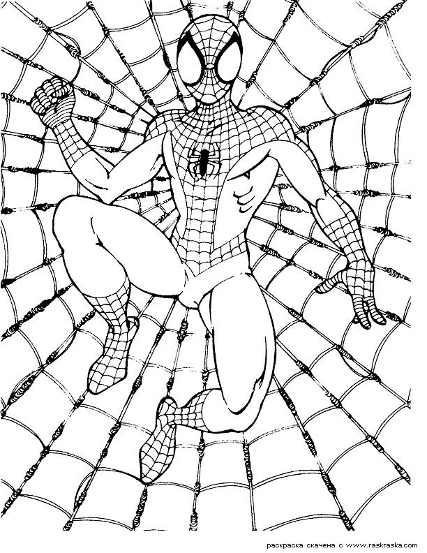 Spiderman 10 Cool Coloring Page