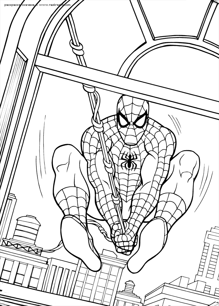 Spiderman 24 Cool