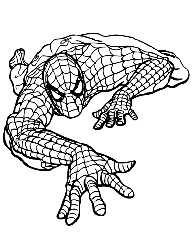 Cool Spiderman 35