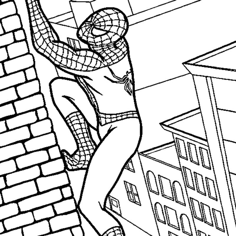 Spiderman 40 Cool