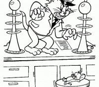 Cool Tom and Jerry 17