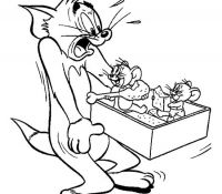 Cool Tom and Jerry 40