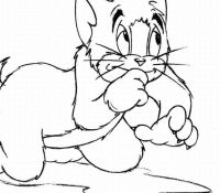 Tom and Jerry 41 Cool