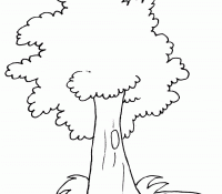 Cool Tree 7