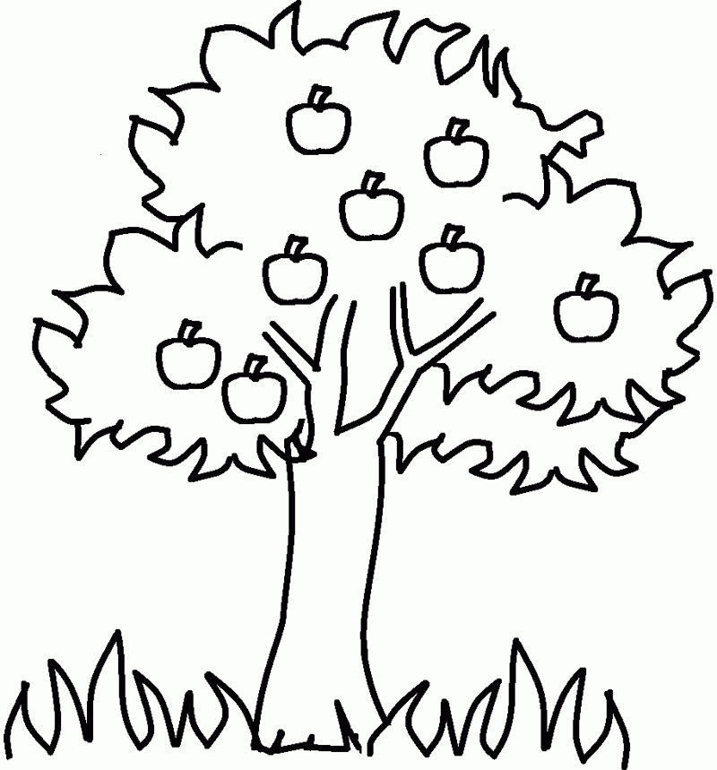Tree 10 Cool Coloring Page