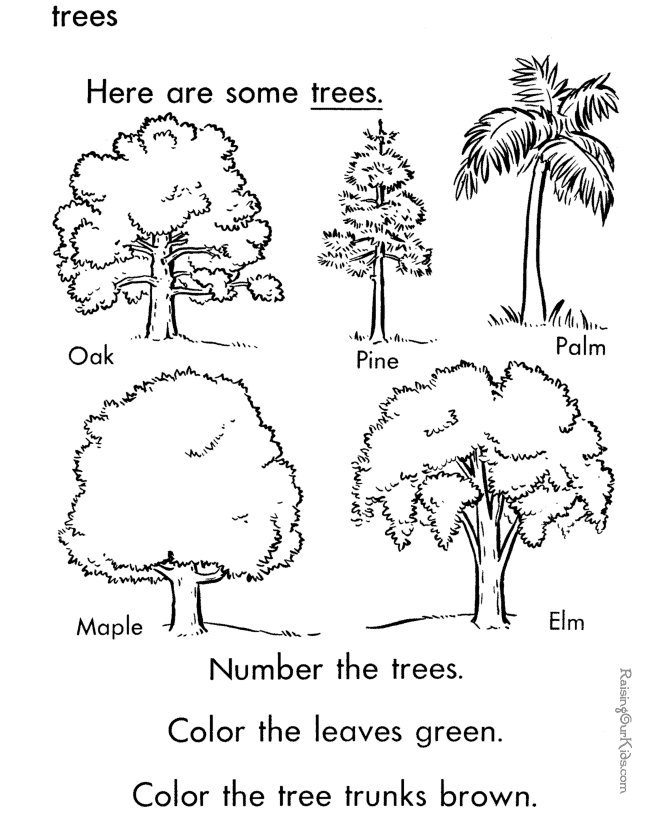 Tree 20 Cool Coloring Page