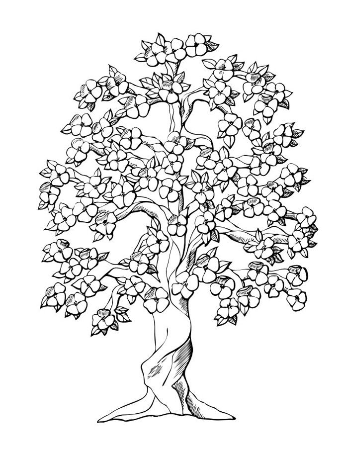Tree 22 Cool Coloring Page